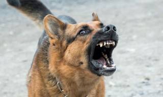 Fot. ilustracyjne / pixabay