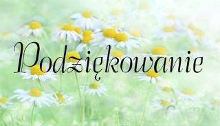 Dziękuję policji i straży miejskiej!