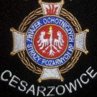 Promesa dla gminy Środa Śląska na zakup samochodu dla OSP Cesarzowice