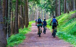 Fot. ilustracyjne / pixabay