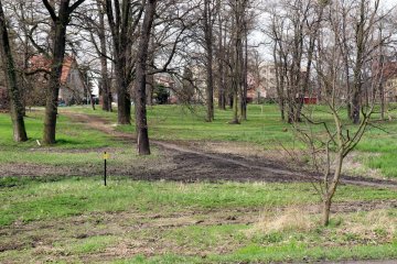 Park zachodni w Środzie Śląskiej