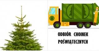 Gmina Malczyce: Odbiór poświątecznych choinek 30 stycznia