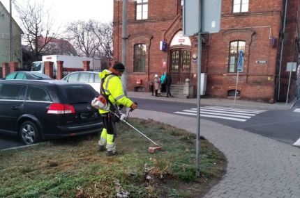 Kosić czy nie kosić?  Wydział Spraw Komunalnych Środowiska i Rolnictwa czeka na opinie mieszkańców