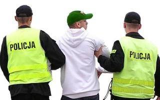 Młodzi złodzieje w rękach policji