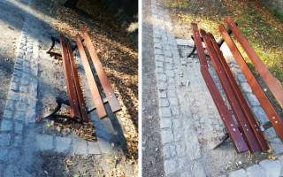 Fot. Urząd Miejski w Środzie Śląskiej