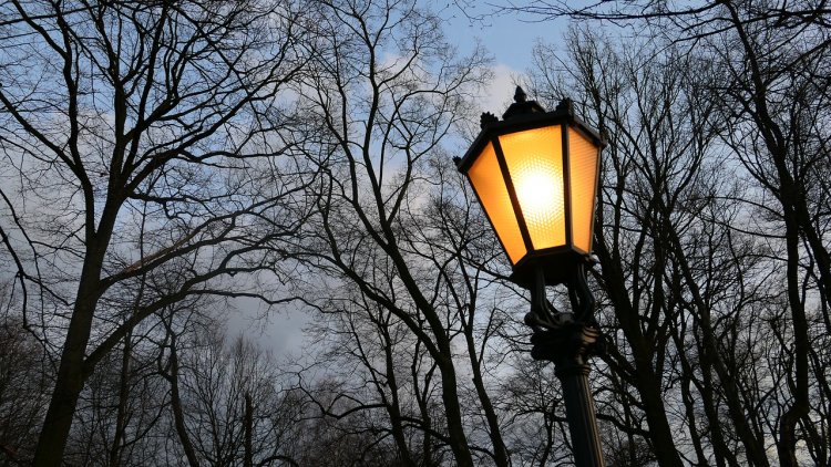 Lampy parkowe LED – na co zwrócić uwagę