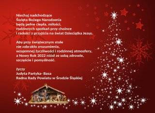 Ciepła i miłości na Święta oraz zdrowia i pomyślność w Nowym Roku życzy radna Judyta Partyka - Basa