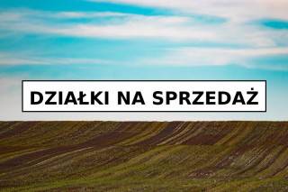 Gmina Udanin ogłasza nowe przetargi na sprzedaż nieruchomości