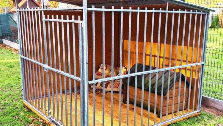 Wspólnie dla zwierząt – Gmina Środa Śląska wspiera Sierściuchy