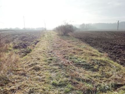 Trakt św. Jakuba porządkowany przez OSiR