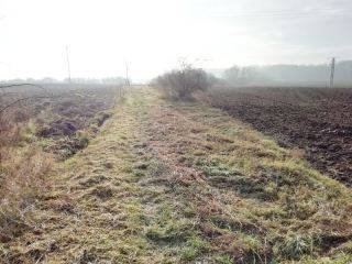 Trakt św. Jakuba porządkowany przez OSiR