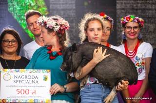 Gminne Święto Plonów w Zakrzowie (zdjęcia i wideo)