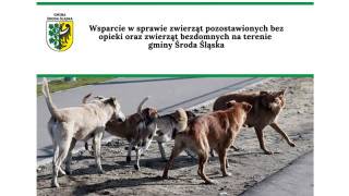 Wsparcie ws. zwierząt pozostawionych bez opieki oraz zwierząt bezdomnych na terenie gminy Środa Śląska
