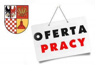 Wójt Gminy Udanin ogłasza nabór