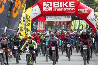 Fot. Archiwum Rolanda