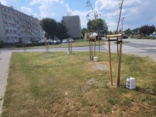 Fot. Urząd Miejski w Środzie Śląskiej