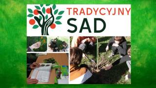 Uczniowie z Kostomłotów kolejny raz uczestniczą w projekcie Tradycyjny sad