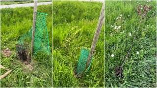 Fot. Powiat Średzki [FB]