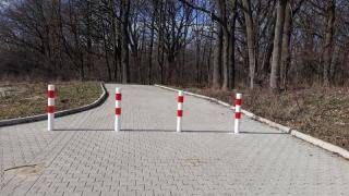 Czytelniczka: Interweniowanie ma sens