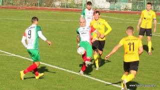 POLONIA ŚRODA ŚLĄSKA – GÓRNIK ZŁOTORYJA / stadion miejski w Środzie  Śląskiej (02.11.2024)