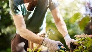 PRACA! Firma OGRODY Pawłowski zatrudni pracownika.