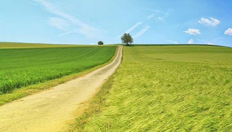 Na terenie gminy Miękinia powstaną nowe drogi do gruntów rolnych