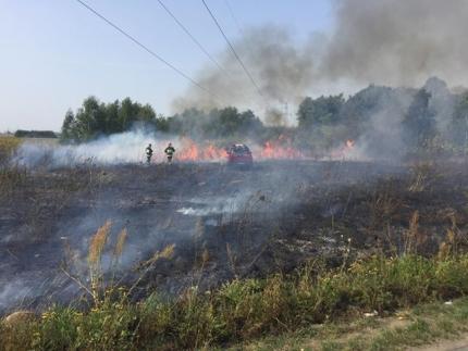 Pożar łąki w Szczepanowie