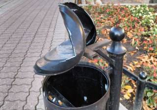 Fot. Urząd Miejski w Środzie Śląskiej