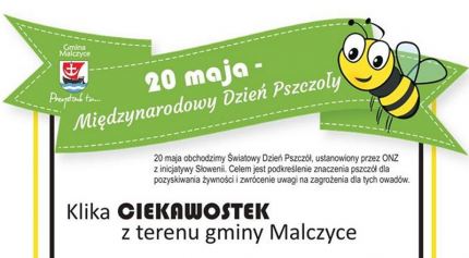 Z okazji Dnia Pszczół kilka ciekawostek z gminy Malczyce