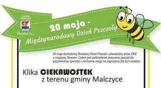 Z okazji Dnia Pszczół kilka ciekawostek z gminy Malczyce