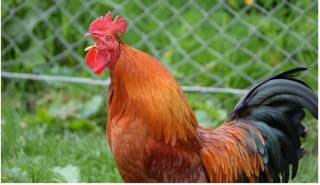 Fot. ilustracyjne / pixabay