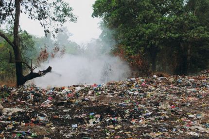 Dzikie wysypiska to prawdziwa plaga. Trafiają na nie m.in. plastikowe torby