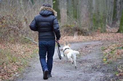 Pilnuj swojego psa! Za niefrasobliwość słono możesz zapłacić