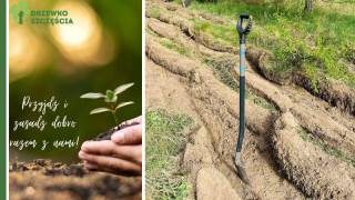 Fot. fundacja Drzewko Szczęścia 