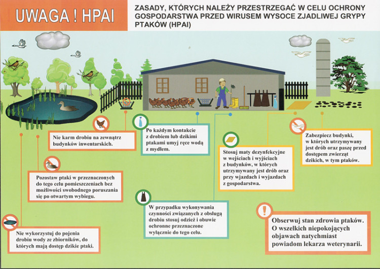 Zniesienie obszaru zagrożonego wystąpieniem grypy ptaków (HPAI)