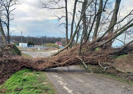 Zerwane linie energetyczne i dachy, powalone drzewa...