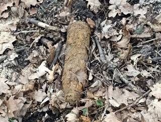 Fot. ilustracyjne / policja