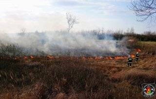 Wypalanie traw grozi utratą dopłat