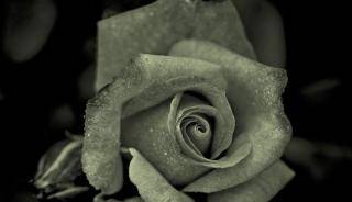 Kondolencje dla Rodziny Krzysztofa Pilca