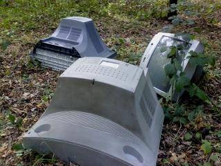 &quot;Jakim bezmózgim trzeba być!?&quot; (list do redakcji)