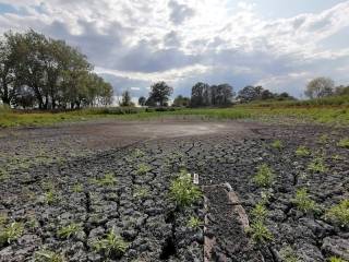 Czy czeka nas krajobraz pustyni? Pyta mieszkaniec...