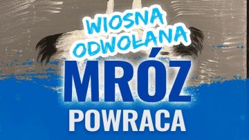 Mróz powraca do Powiatowego Centrum Kultury Alternatywnej