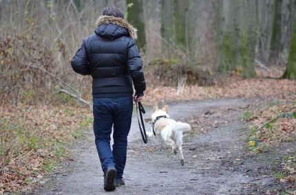 Niezastosowanie się do obowiązków grozi mandatem