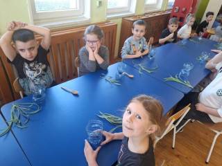 Fot. Przedszkole Publiczne w Ciechowie