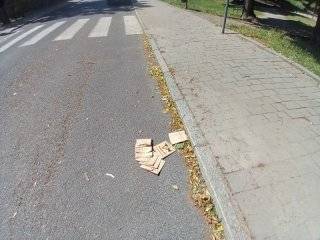 Fot. Urząd Miejski w Środzie Śląskiej