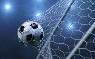 Otwarty konkurs ofert na realizację zadania z zakresu kultury fizycznej i sportu w roku 2024