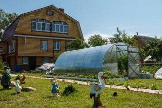 Uprawa warzyw, która daje obfite zbiory