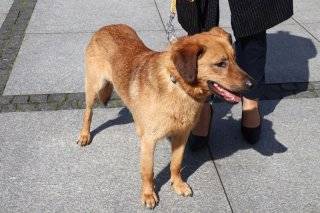 Fot. UM w Środzie Śląskiej