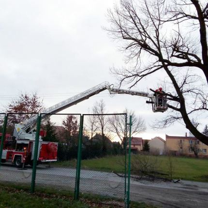 Kto podpalił zabytkowe drzewo w Udaninie? Za wskazanie sprawcy - nagroda!