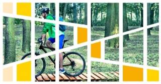 Rowerowy zawrót głowy! Dzięki dotacjom unijnym na Dolnym Śląsku powstało wiele ścieżek i single tracków